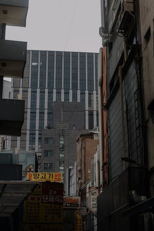 趋势跟随策略操作技巧_中国股市做长线还是短线好_股指期货交易策略