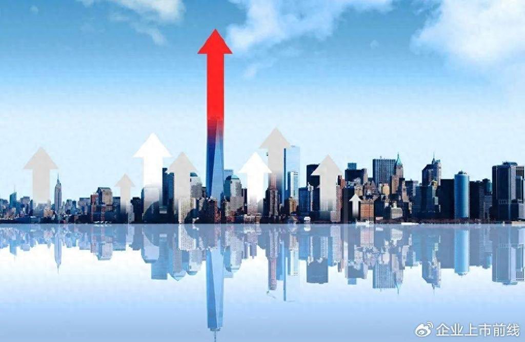 上市公司私有化：方式、考量因素及挑战风险探讨