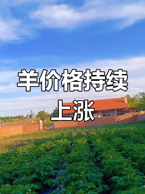 农业农村部监测：6月羊价上涨，肉羊养殖或转入景气周期？