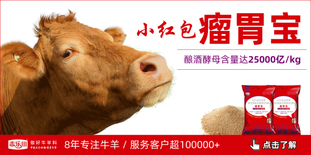 2025年全球羊肉市场大涨价！羊周期爆发，成本上涨引关注