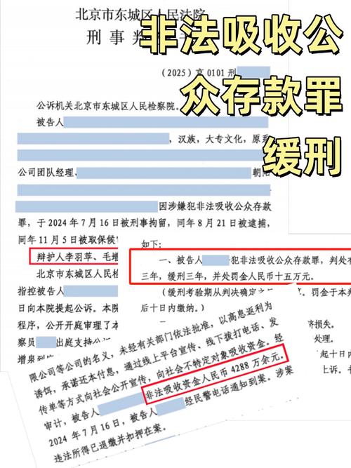  非法吸收公众存款罪 杨某某案件分析 __非法吸储分公司负责人