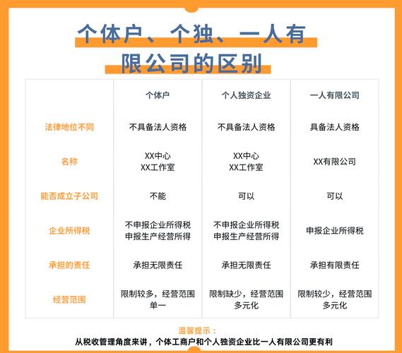 一人公司、个人独资企业、个体工商户税务差异解析：财税视角下的风险与成本对比