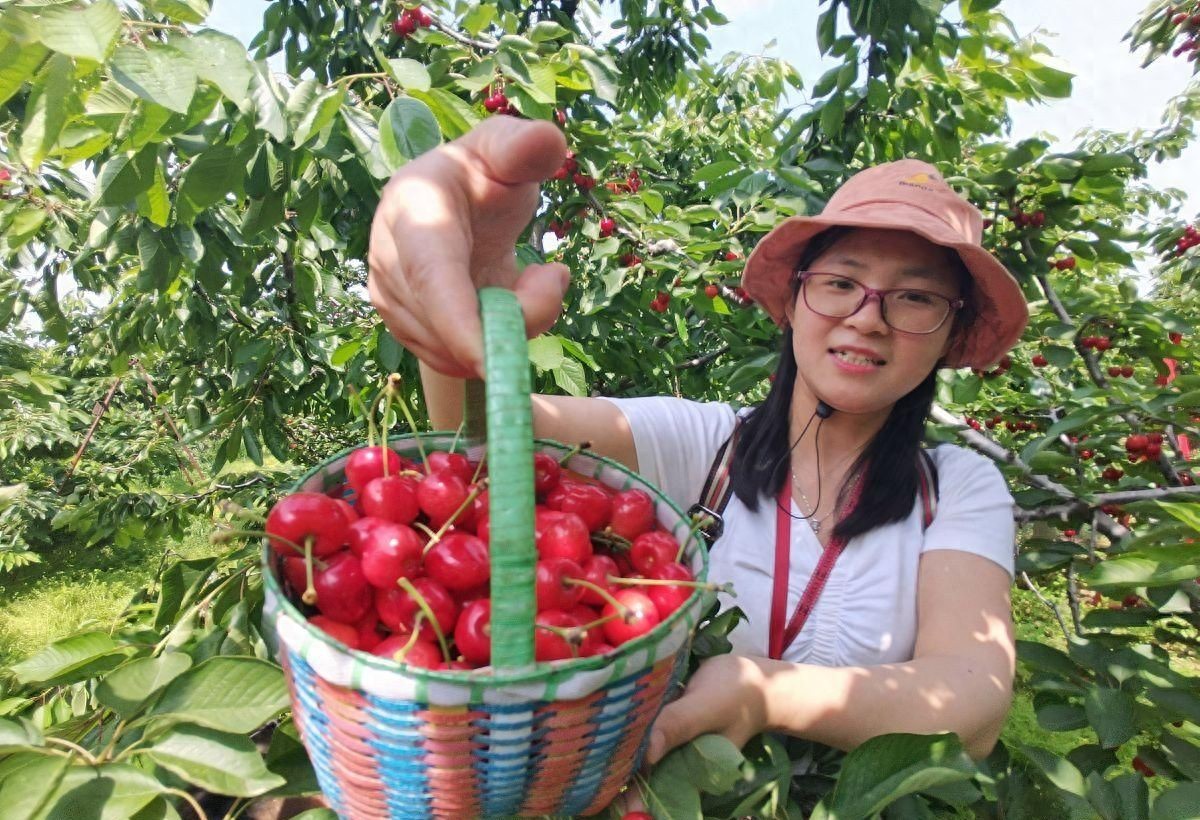 60岁回农村想折腾赚钱？这8种适合的生意别错过！土鸡蛋直卖超火