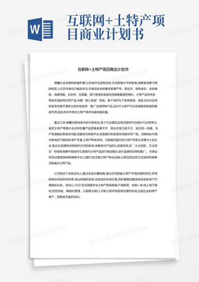 互联网+土特产项目商业计划书