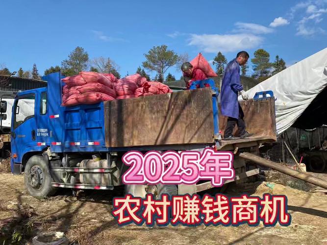 镇上的小生意_镇上做生意赚钱_集镇上适合做什么小生意
