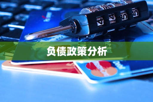 负债政策分析