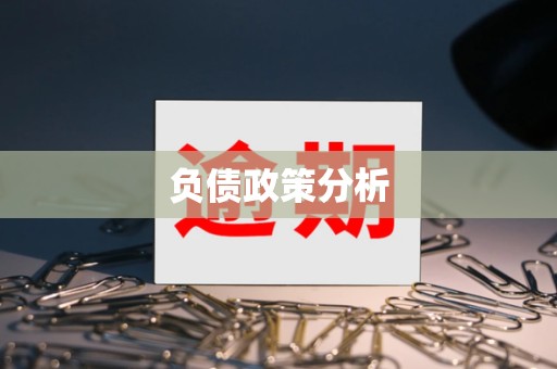 负债政策分析