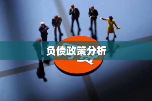 负债政策分析