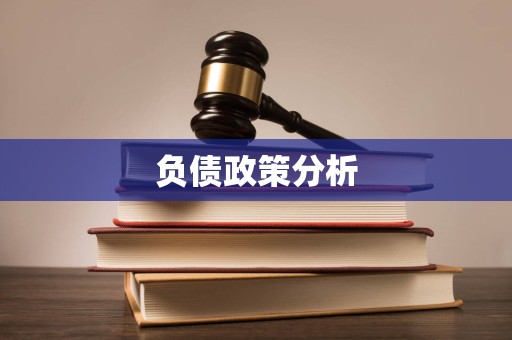 负债政策分析