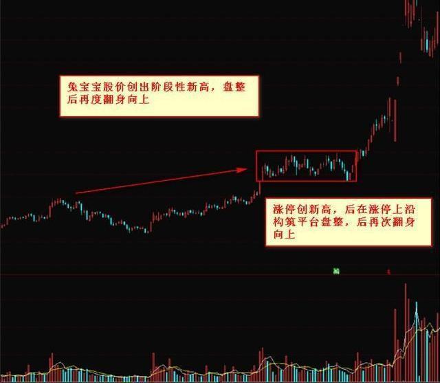 黑马股形态分析_股票主升浪起爆前形态_黑马股捕捉技巧