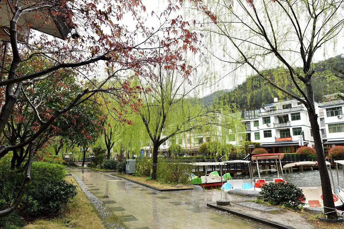 农村创业项目_农村电商市场前景_农村小投资创业好项目大全