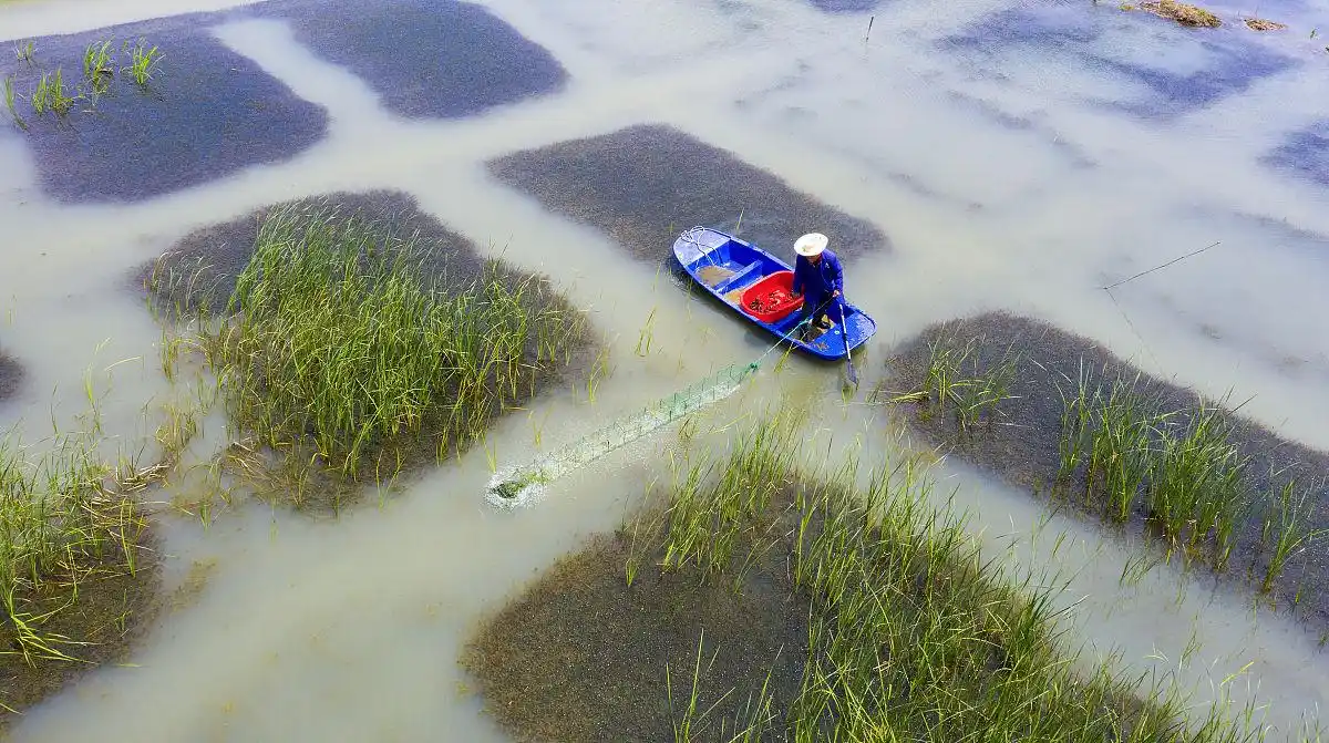 农村电商市场前景_农村创业项目_农村小投资创业好项目大全