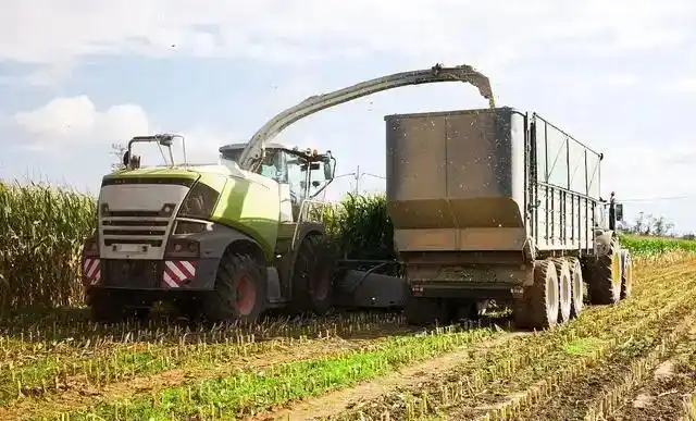 碳的生产和营销费用低廉收益丰厚_乡村食材王国农业面食生产_农村小投资创业好项目大全