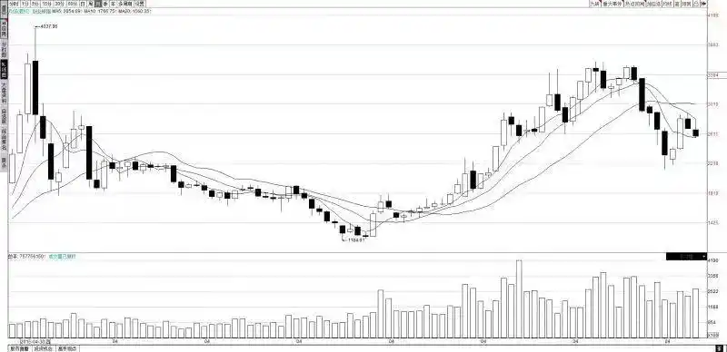 上市公司半年报业绩分析_中国 股票 涨幅最大_A股8月全线调整