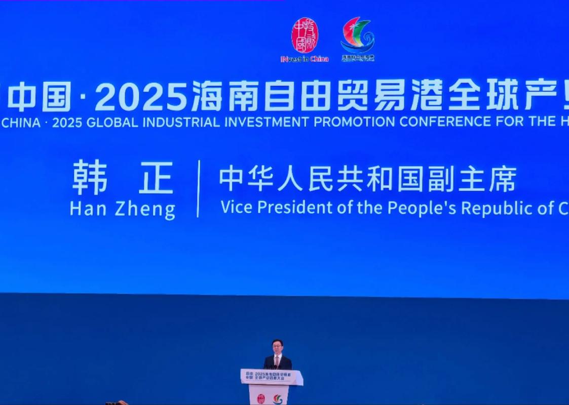 2025年自贸新机遇，携手创未来——海南自由贸易港招商推介会（武汉专场）成功举办