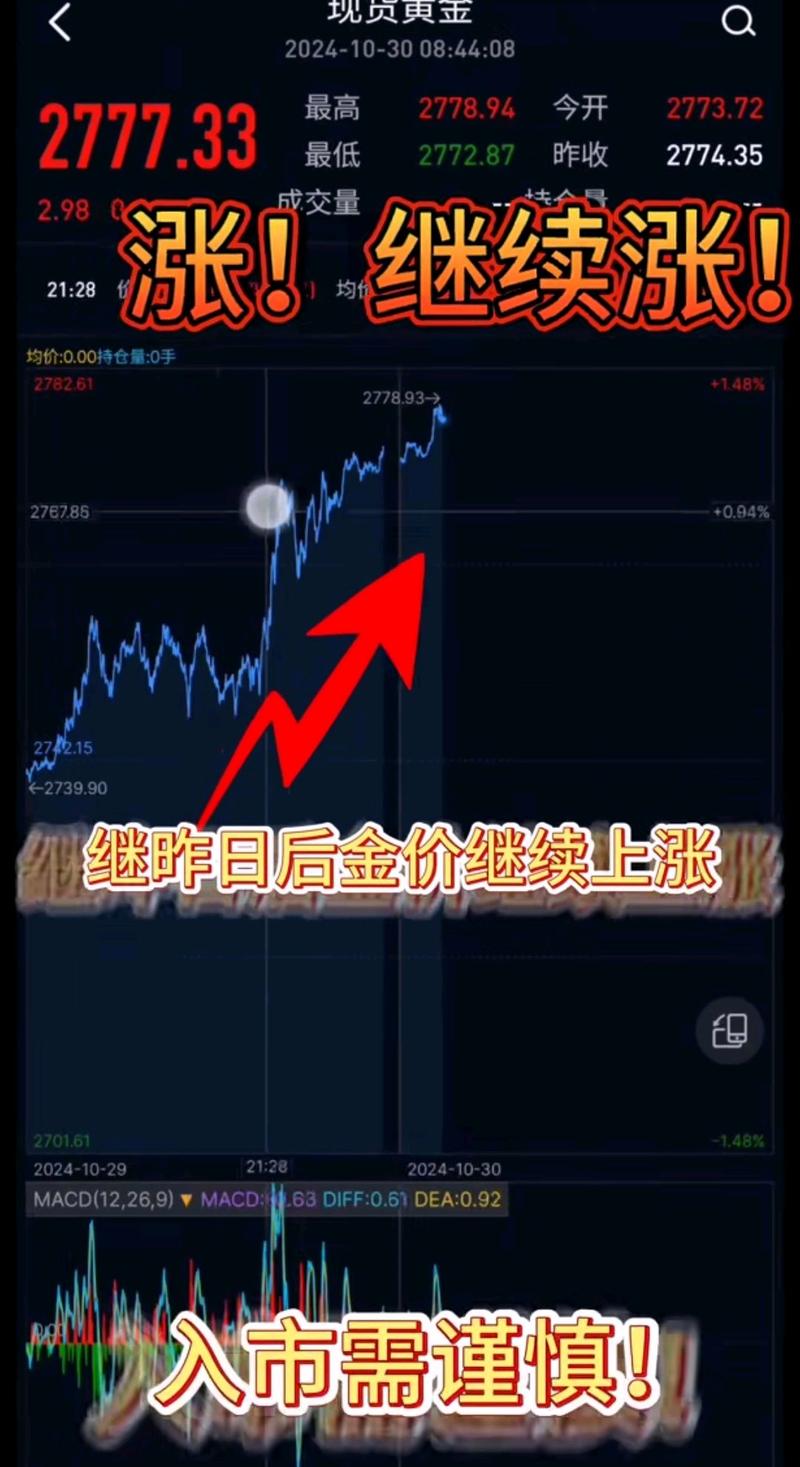 黄金投资风险_黄金ETF定投_支付宝理财产品有风险吗