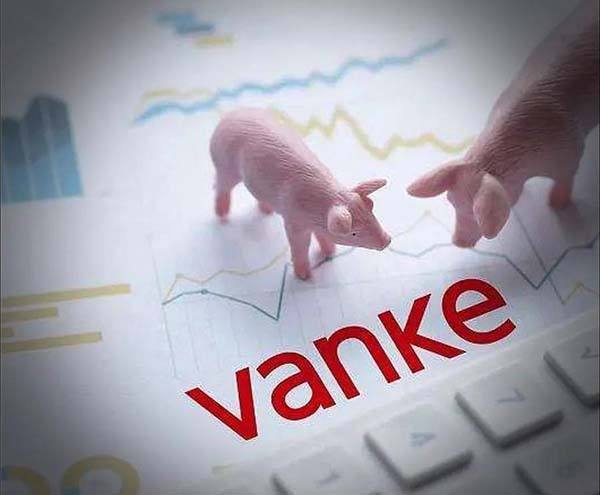 中国农村散养户养猪业现状_中小规模猪场消失对猪肉市场的影响_是未来3年农村不让养殖业了吗