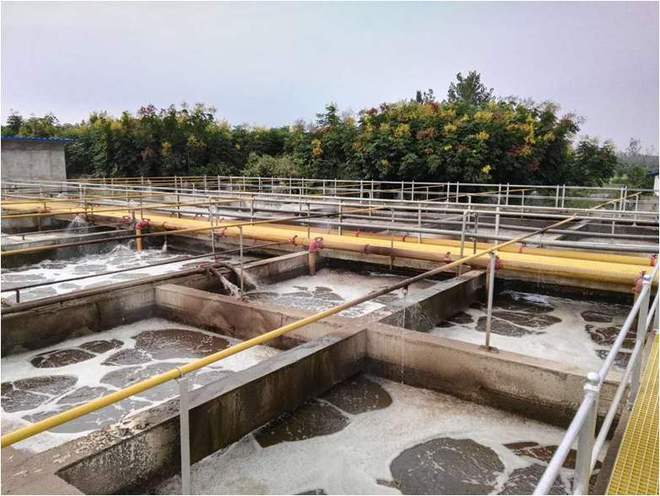 中国农村散养户养猪业现状_中小规模猪场消失对猪肉市场的影响_是未来3年农村不让养殖业了吗