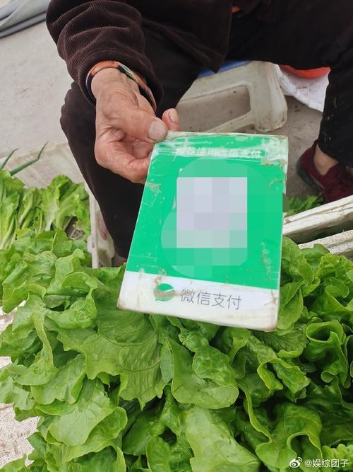 手机支付普及全城！早餐摊、农贸市场超七成支持扫码，出门不用带钱包？