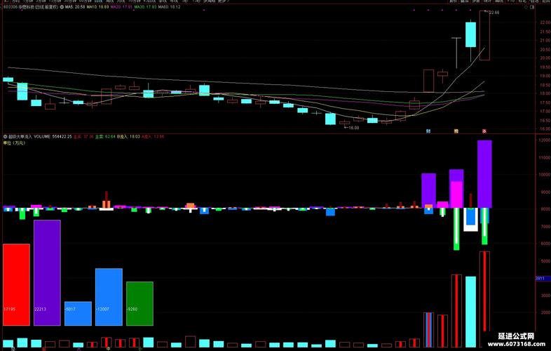 2月16日超大单流入前19股后市走势分析，含赣锋锂业等