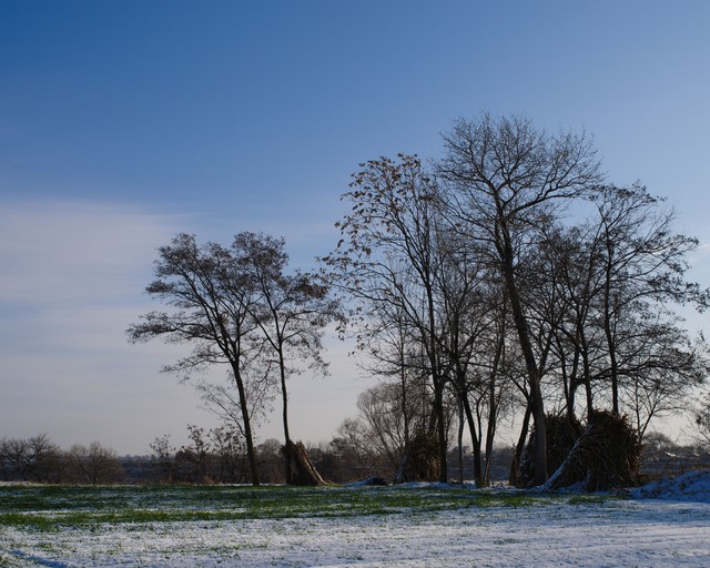 民法典预期利润_合同法预期利益_新合同法预期利润