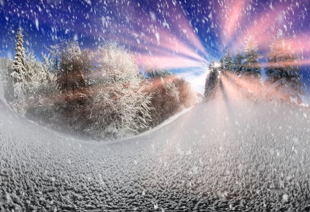 民法典预期利润_新合同法预期利润_合同法预期利益