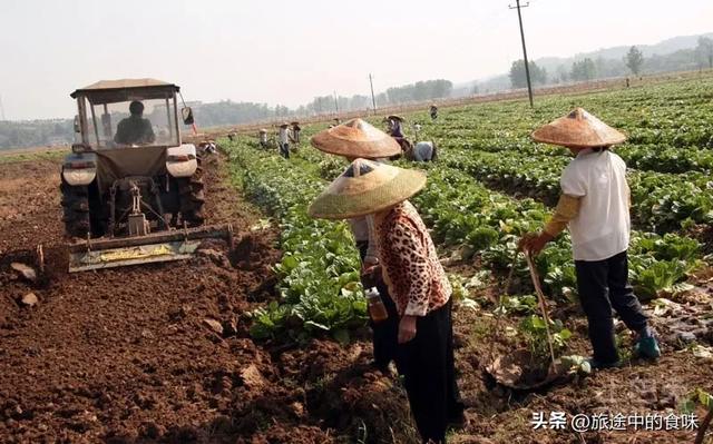 返乡创业新趋势_有没有靠谱的创业项目_乡村振兴政策支持