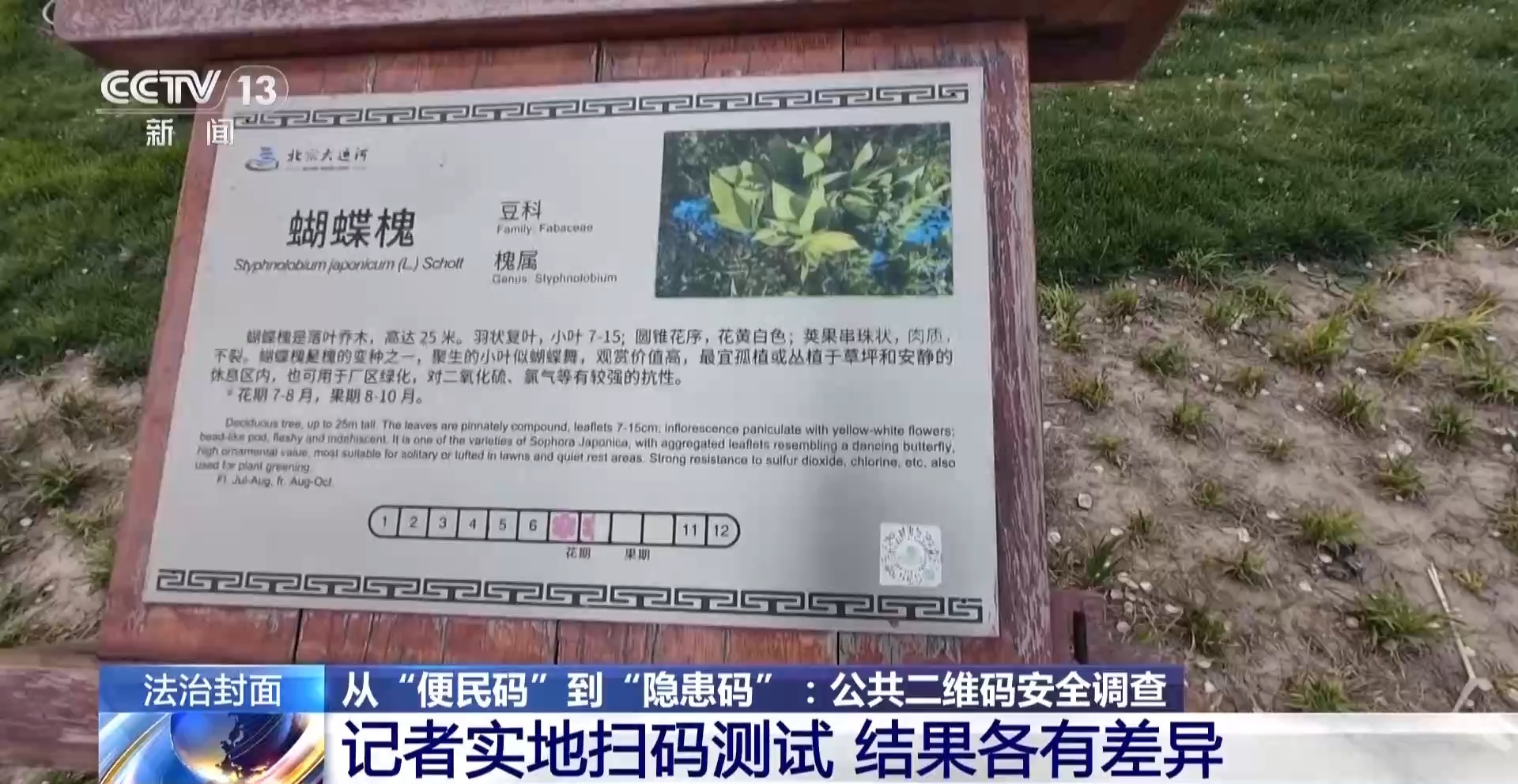 涉黄二维码防范_用黄色提高网站排名_公共二维码安全