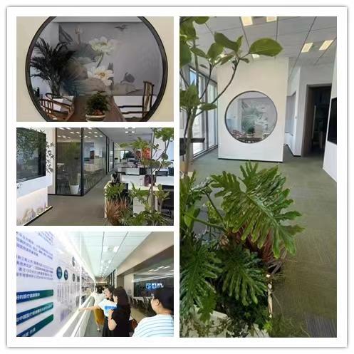 北京远程医疗集团_北京远程心界医院管理公司_远程医生集团