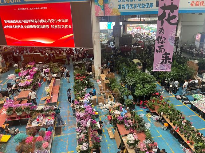 哪些鲜花网站销售量好_鲜花电商供应链及运输链分析_中国鲜切花市场规模及发展趋势