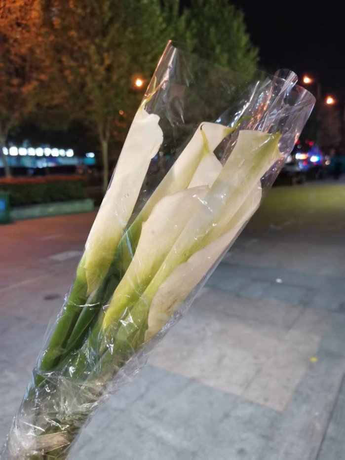 哪些鲜花网站销售量好_鲜花电商供应链及运输链分析_中国鲜切花市场规模及发展趋势