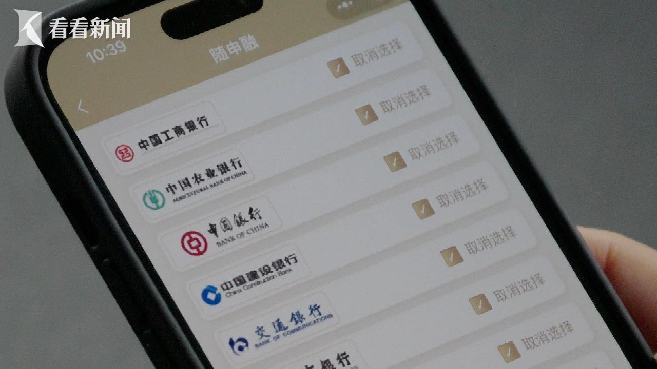 上海短期小额贷款_上海随申融平台 小微企业融资信用服务平台 数据整合能力