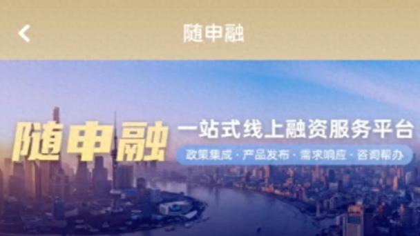 上海短期小额贷款_上海随申融平台 小微企业融资信用服务平台 数据整合能力