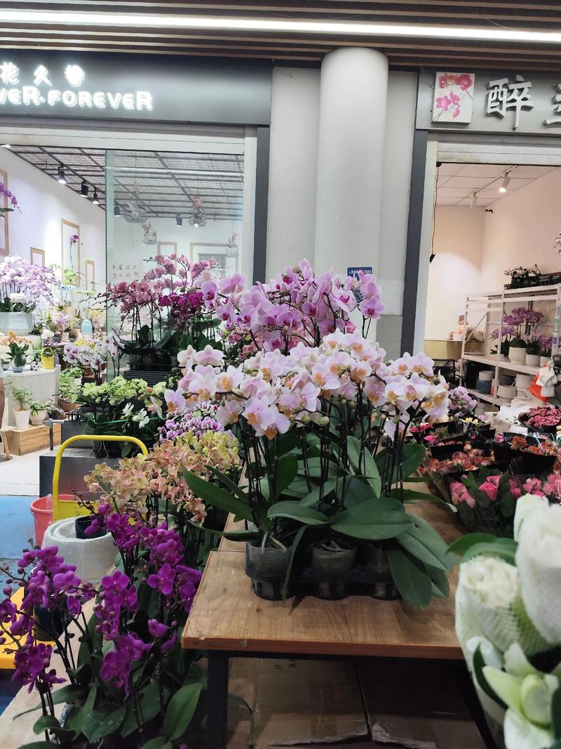 云南鲜花产业抖音电商发展趋势_哪些鲜花网站销售量好_抖音电商云南鲜花产业直播带货