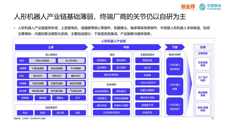 人形机器人行业细分龙头,投资亮点与产业链全解析