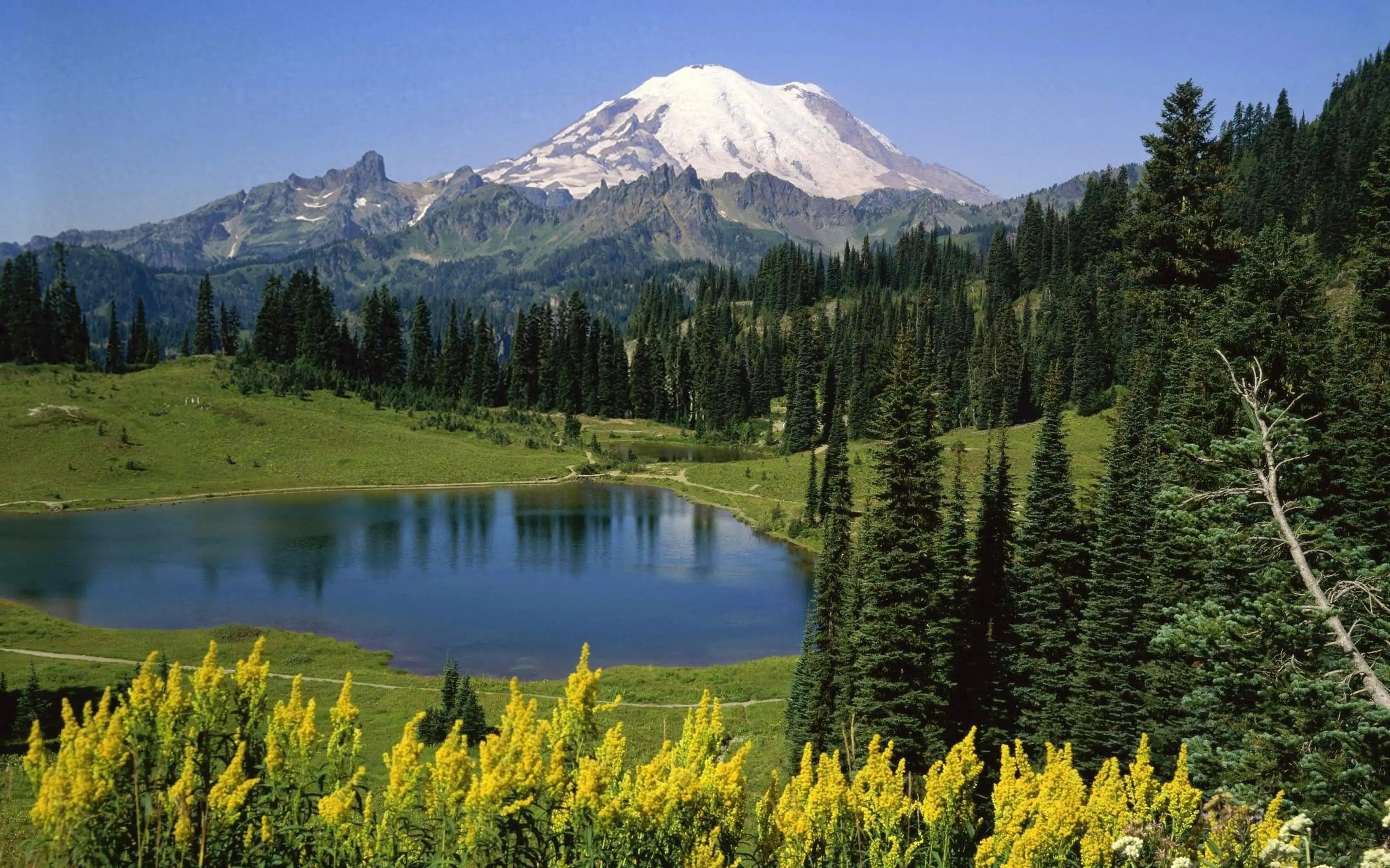 2026年小生意创业_明年加盟零成本致富好买卖_酱香饼小吃摊