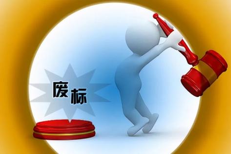 废标原因_投标文件不规范废标情形_废标的情况有哪些