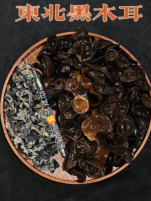 黑木耳有哪些种类？皱木耳、毛木耳、房耳的特点全在这儿了
