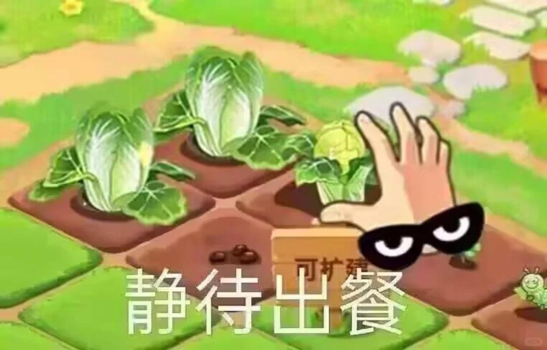QQ经典农场 偷菜 网络现象_qq农场能赚人民币吗