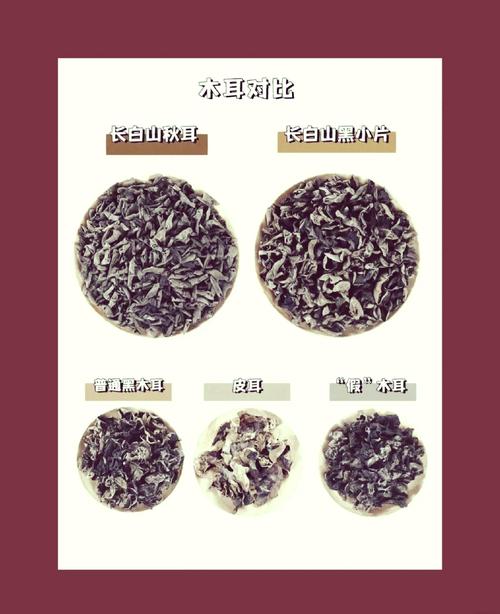 如何挑选黑木耳_年黑木耳价格行情走势 黑木耳_怎样挑选干木耳