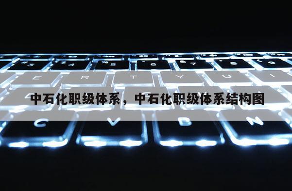 中石油董事长总经理级别待遇及企业干部级别划分情况