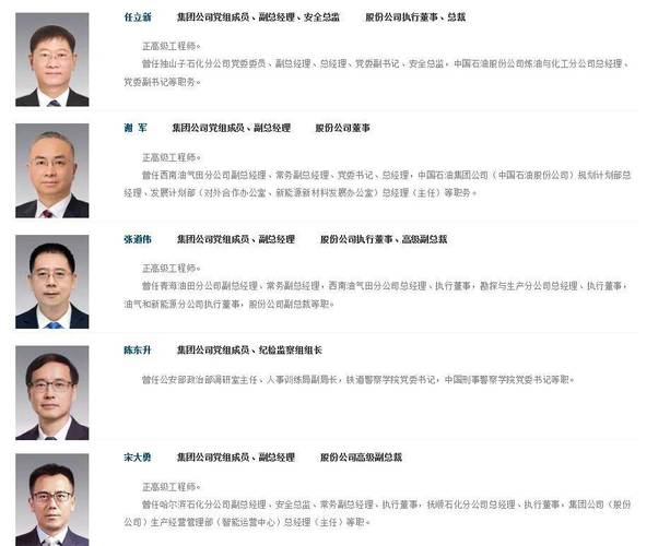 国企高管待遇_央企董事长级别_中石油股份公司副总裁是什么级别