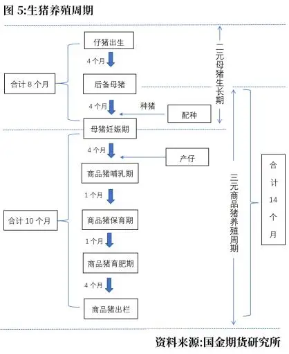 2023年生猪价格走势分析_未来猪价走势专家预测_生猪产能去化缓慢对价格影响