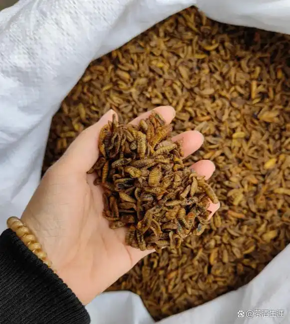 家庭托管小课堂_炭雕工艺品店_投资小创业好开店项目